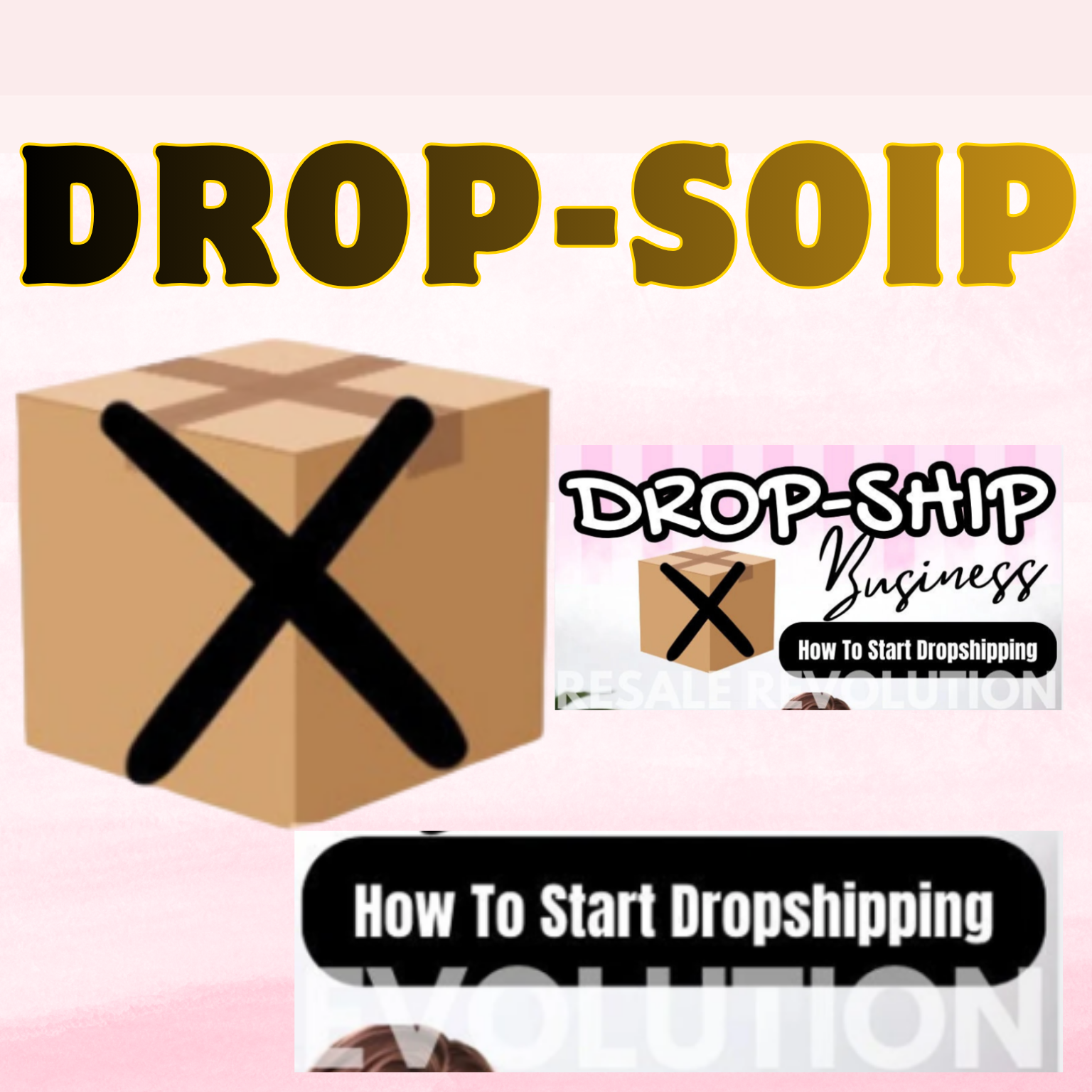 Dropshipping Business- How to Start Drop shipping with PLR & MRR Rights