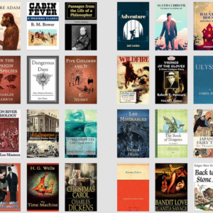 1000 timeless classic & famous novels in digital format with PLR 100% copyright free